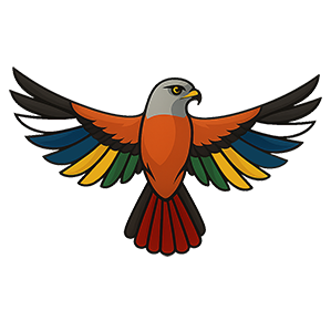 Red-tailed hawk in flight with multicolored wings representing disability inclusion: red for physical disabilities, yellow for cognitive and intellectual disabilities, blue for mental health, green for sensory and ADHD, white for invisible disabilities, and orange for sensory processing. Symbol of Navigating Needs’ values of guardianship, direction, and neurodiversity-affirming support.